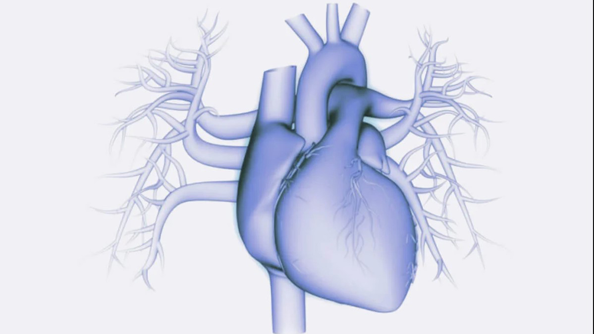 Cardiac Imaging & Testing